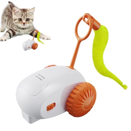 ccuzs Remote Control Cat Toy, Rechargeable Moving Cat Toys, Cat Toy with 2 Speed Adjustment, Indoor Cats Play Toy with Speed Settings 2.76x2.56x3.54 for Bored Indoor Cats (Blue, Orange, Gray) von ccuzs