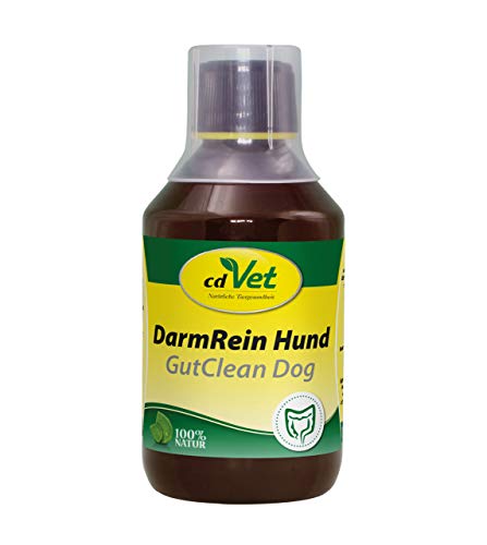 cdVet Naturprodukte DarmRein Hund 250 ml - Hund - Ergänzungsfuttermittel - Unterstützung der Futteraufnahme + der natürlichen Darmflora - Verdauungsstörungen - Durchfall - Brechreiz - Darmprobleme - von cdVet