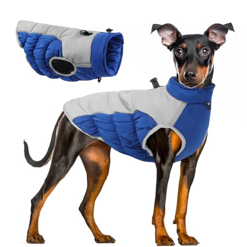 Ceuacu Hundemäntel für kaltes Wetter, gemütlich, wasserdicht, winddicht, wendbar, Winter-Hundejacke, dick gepolstert, warm, Blau, Größe XXL (US) von ceuacu