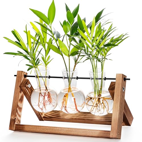 cfmour Pflanzen-Terrarium mit Holzständer, Anzuchtstationen, Glas-Luft-Pflanzgefäß, Schreibtisch, drehbarer Metallhalter für den Innenbereich, lebende Hydrokultur, Pflanzen, Büro, Zuhause, Garten, von cfmour