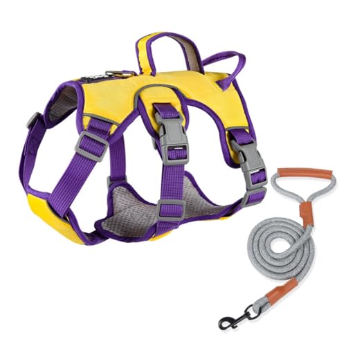 Hundegeschirr für Kleine und Mittelgroße Hunde Anti Zug Hundegeschirr Harness Verstellbar Atmungsaktiv Reflexstreifen Leicht Anzulegen (Gelb-C,L) von champracer