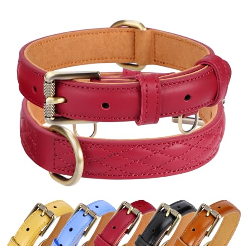 CHEDE Basic Classic Luxus-Hundehalsband, gepolstert, aus echtem Leder, strapazierfähig, weiches und starkes Lederhalsband mit Metallschnalle, breites Hundehalsband für große, mittelgroße und kleine von chede