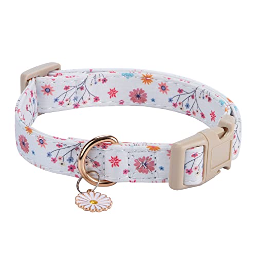 CHEDE Hundehalsband aus Baumwolle für kleine, mittelgroße und große Hunde, Mädchen-Hundehalsband mit Schnellverschluss-Schnalle, Blumen, weich, verstellbar, Haustierhalsband (mittelgroß, bunte Blume) von chede