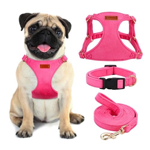 Hundegeschirr gegen Ziehen, leicht, weich, verstellbar, kleines Geschirr, Halsband und Leine, geeignet für Katzen, Welpen, kleine und mittelgroße Hunde, Outdoor-Training und Laufen (Hot Pink, S) von chede