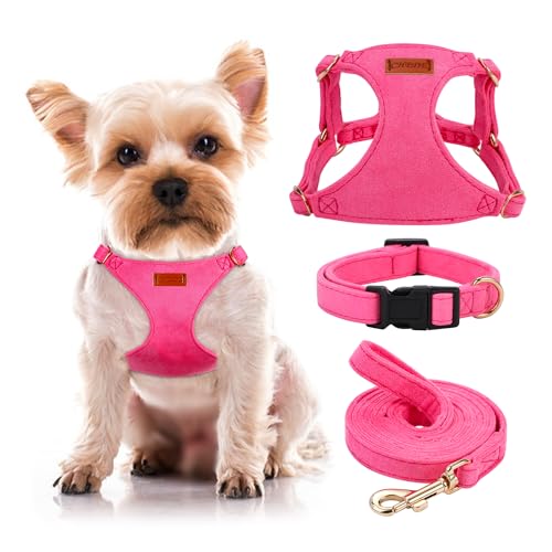 Hundegeschirr gegen Ziehen, leicht, weich, verstellbar, kleines Geschirr, Halsband und Leine, geeignet für Katzen, Welpen, kleine und mittelgroße Hunde, Outdoor-Training und Laufen (Hot Pink, XXS von chede