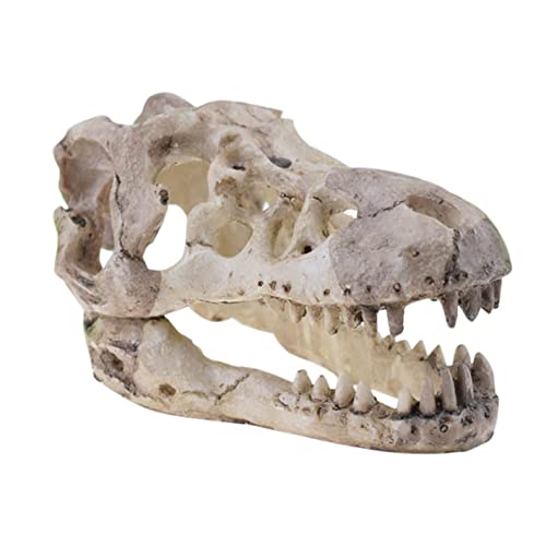 chiphop Der Tiere Aquarium Dekoration Loch Harz Künstliche Dinosaurier Ornament Aquarium Kleine Aquarium Dekoration Landschaft Haustier Reptilienhaus Weiß Erde Kinder (C, One Size) von chiphop