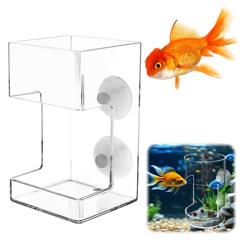 Aquarium Futterrohr, 2025 Neu No Mess Aquarium Feeder, Garnelen-Futterrohr Shrimp Feeder Tube Saugnapf Betta Feeder Futterspender Garnelen Futterrohr Und Schüssel Set für Aquarium (Quad) von comepew