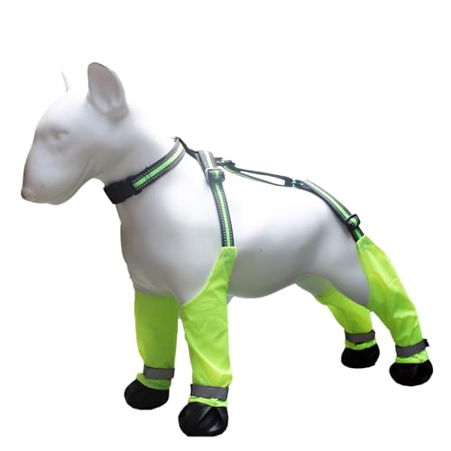 Dog Suspender Boots, 2025 Neu Hundeschuhe Pfotenschutz, Hundesocken Anti Rutsch Pfotenschutz Verstellbarem Hundeschuhe Winter Outdoor Reflektierende Hundestiefel & Pfotenschutz (Grün, L) von comepew