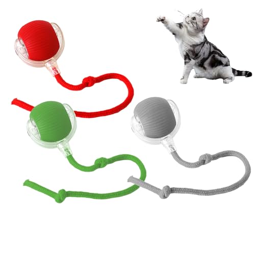 comepew Chewie Rolling Ball, 2024 Neuest Katzenspielzeug Elektrisch, Interaktives Katzenspielzeug Katzenspielzeug Selbstbeschäftigung Elektrisches Automatisches Katzenspielzeug Rollender Ball (3PC) von comepew