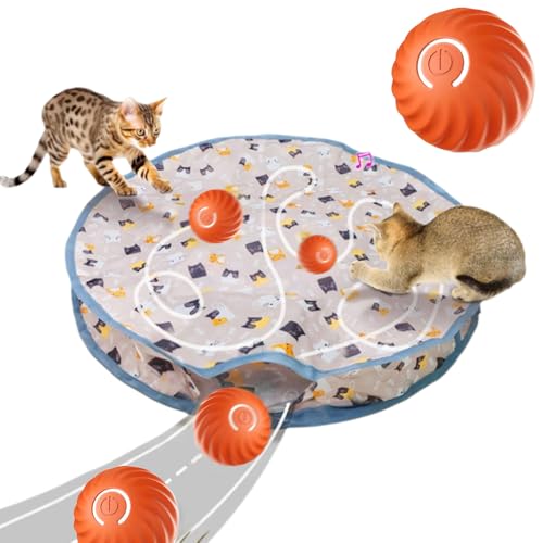 comepew Interactive Katzenspielzeug, 2 in 1 Simuliertes Interaktives Jagdkatzenspielzeug, Interactive Cat Toys Guitar Cat Toy Doppelschicht Jagd Katze Matte Spielzeug mit Katzenball (Grau, +O Ball) von comepew