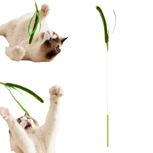 comepew Interaktives Katzenspielzeug Angel, 2025 Neu Federspielzeug für Katzen, 50CM Interaktiver Catcher Teaser mit Furry Faux Grass Katzenspielzeug Feder KatzenSpielzeug Selbstbeschäftigung (Grün) comepew Interaktives Katzenspielzeug Angel, 2025 Neu Federspielzeug für Katzen, 50CM Interaktiver Catcher Teaser mit Furry Faux Grass Katzenspielzeug Feder KatzenSpielzeug Selbstbeschäftigung (Grün) von comepew