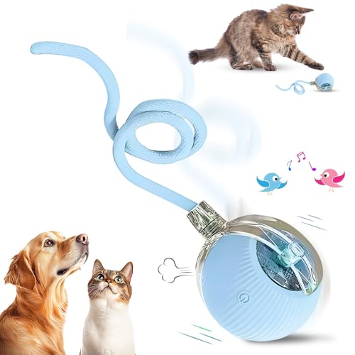 comepew Interaktives Katzenspielzeug Selbstbeschäftigung, 2025 Neu Chewie Rolling Ball, Katzenspielzeug Elektrisches Automatisches Katzen Spielzeug Rollender Ball für Katzen Hunde (Blau) von comepew