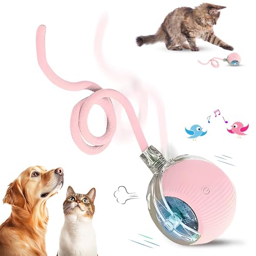 comepew Interaktives Katzenspielzeug Selbstbeschäftigung, 2025 Neu Chewie Rolling Ball, Katzenspielzeug Elektrisches Automatisches Katzen Spielzeug Rollender Ball für Katzen Hunde (Rosa) von comepew