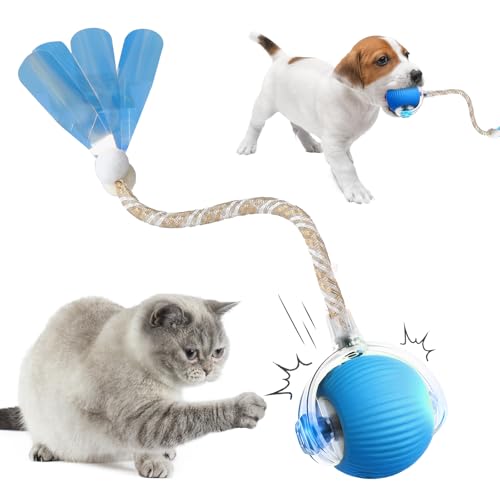 comepew Ktzenspielzeug Elektrisch, 2025 Neu Chewie Rolling Ball, Katzenspielzeug Selbstbeschäftigung Interaktives Katzenspielzeug mit Libellenschwanz Unregelmäßige Bewegung Rollender Ball (Blau) von comepew