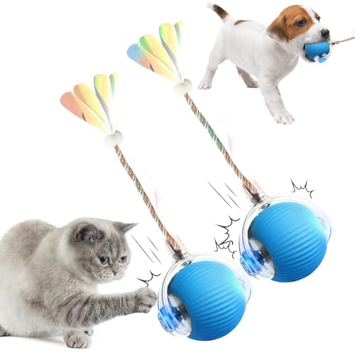 comepew Ktzenspielzeug Elektrisch, 2025 Neu Chewie Rolling Ball, Katzenspielzeug Selbstbeschäftigung Interaktives Katzenspielzeug mit Libellenschwanz Unregelmäßige Bewegung Rollender Ball (Blau*2) von comepew