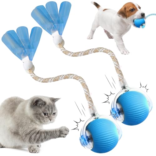 comepew Ktzenspielzeug Elektrisch, 2025 Neu Chewie Rolling Ball, Katzenspielzeug Selbstbeschäftigung Interaktives Katzenspielzeug mit Libellenschwanz Unregelmäßige Bewegung Rollender Ball (Blau*2) von comepew