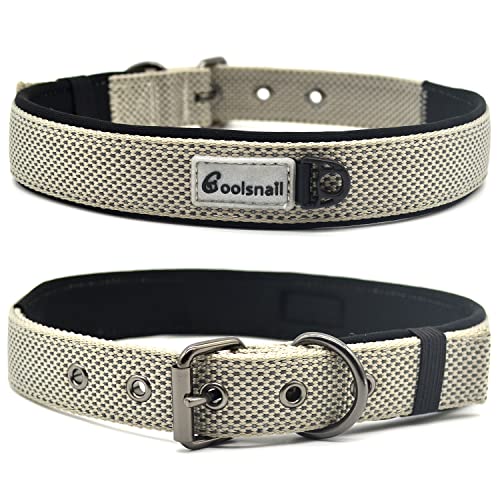 Coolsnail Hundehalsband, strapazierfähiges Nylon-Halsband mit verstellbarem, weichem Neopren-Polsterung, strapazierfähiges Haustierhalsband mit starker Metallschnalle für alle Rassen (Grau, Medium) von coolsnail