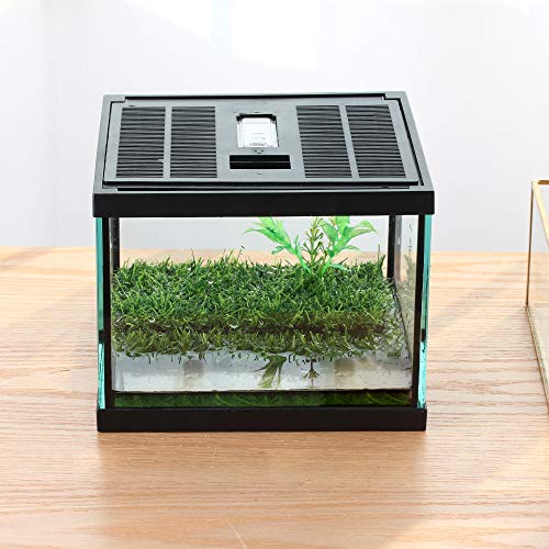 Crapelles Pac Frösche Glas-Terrarium Zubehör, Wasserdicht, für kleine Amphibien, Insekten, Reptilien, Hornfrösche von crapelles