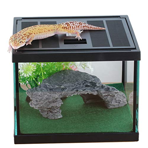 crapelles Glas-Eidechsen-Tank, Spinnenbox-Set, 20 x 20 x 15 cm, Vogelspinne, Insekten, Käfer, Terrarium für kleine Haustiere, mit waschbarer Matte, Kunstharz-Felsen-Versteck, künstliche Blume von crapelles