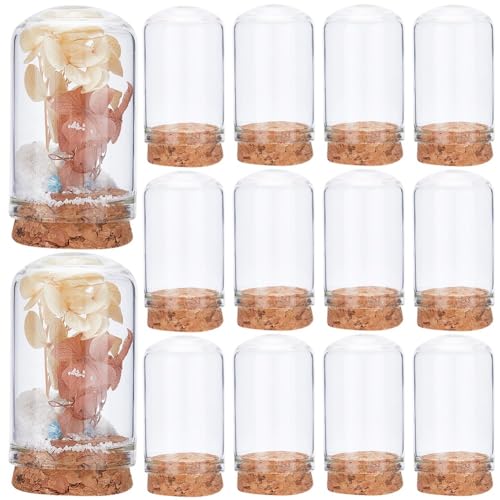 CRASPIRE 10 Stück Glaskuppel mit Korkboden 3 x 5,1 cm Glocke Glas Mini Display Ständer Abdeckung DIY Phiole Terrarium Cabochons Flaschen Behälter Holz Dekor für konservierte Blumen Abdeckung von craspire