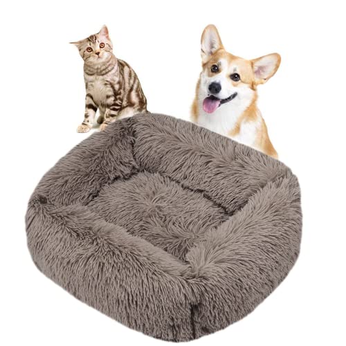 Crazy Bean Plüsch Waschbares Haustierbett Bequeme Beruhigende Weiche Hundekatze Gemütliches Schützendes Tiefschlafkissen Mit Rutschfestem Boden Hundebett Katzenbett Haustierzubehör Hellbraun M(66*55cm) von crazy bean