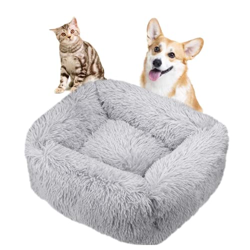 Crazy Bean Plüsch Waschbares Haustierbett Bequeme Beruhigende Weiche Hundekatze Gemütliches Schützendes Tiefschlafkissen Mit Rutschfestem Boden Hundebett Katzenbett Haustierzubehör Hellgrau M(66*55cm) von crazy bean