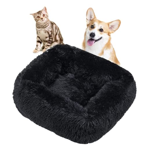 Crazy Bean Plüsch Waschbares Haustierbett Bequeme Beruhigende Weiche Hundekatze Gemütliches Schützendes Tiefschlafkissen Mit Rutschfestem Boden Hundebett Katzenbett Haustierzubehör Schwarz M(66*55cm) von crazy bean