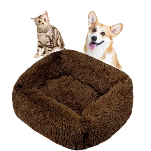 crazy bean Plüsch Waschbares Haustierbett Bequeme Beruhigende Weiche Hundekatze Gemütliches Schützendes Tiefschlafkissen Mit Rutschfestem Boden Hundebett Katzenbett Haustierzubehör Braun M(66 * 55cm) von crazy bean