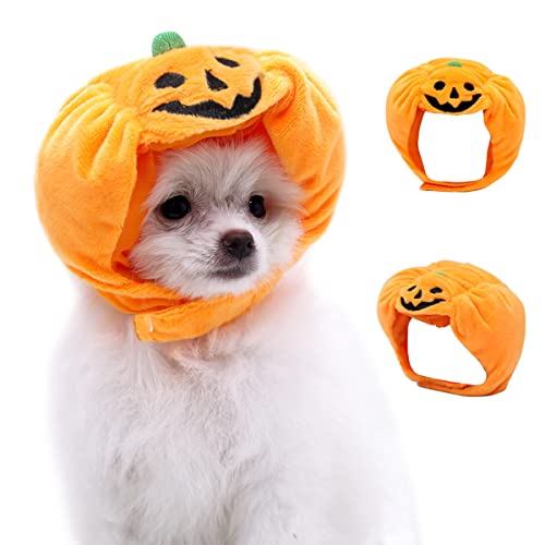 1 x Halloween-Haarschmuck für Haustiere, Kürbishut für Katzen, Hunde, Größe L (10-25 kg) von cuhair