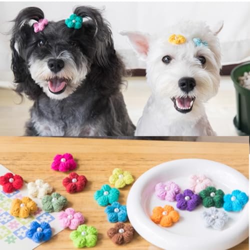 20 Stück (10 Haargummis, 10 Haarspangen) kleine Hunde-Haar-Accessoires mit Schleife, Puffblume mit Gummiband/Haarspangen für zottelige Hunde, lange Hunde, Haustiere, Teddy, Yorkie, Malteser, von cuhair