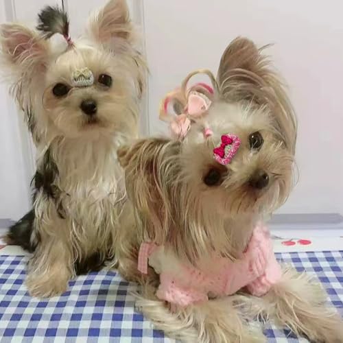 20 x glitzernde kleine Hundehaar-Accessoires mit Schleife, mehrfarbige Schleife, Haarspangen für lange Haare, Yorkie-Hund, Teddy, Malteser-Hund, Haar-Accessoires von cuhair