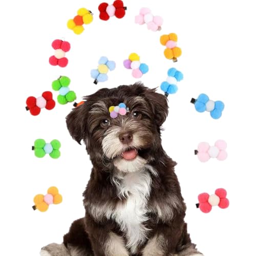 Mix 20 kleine Hundehaar-Accessoires, Plüschkugel-Blume, handgefertigte Plüschblumen-Haarspangen für Hunde, Welpen, Haustiere, Teddy, Yorkie-Hunde, Malteser-Hundehaar-Verkleidungspartys von cuhair