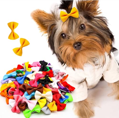 cuhair 20pcs Colorful Dog Bow Hairpin Fashion Pure Bow Hair Clips for Small Dogs Cute Puppy Cat Headwear Dog Grooming Hair Accessories von cuhair