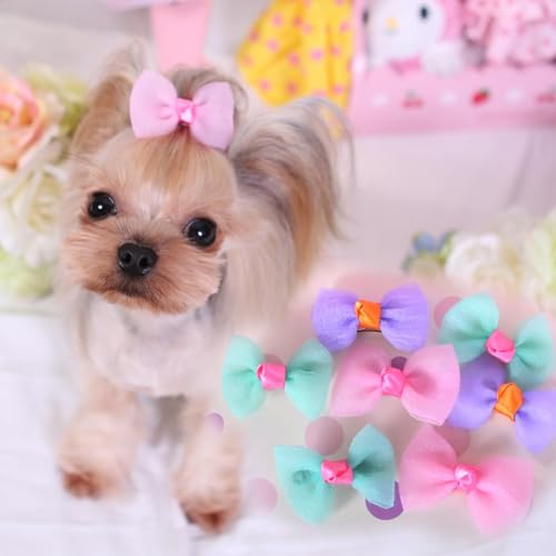 cuhair Haar-Accessoires für kleine Hunde, Garnschleife mit Metallclip für Hunde, Langhaar, Shaggy, Teddy, Yorkie, Malteser, Party, 3 Paar von cuhair