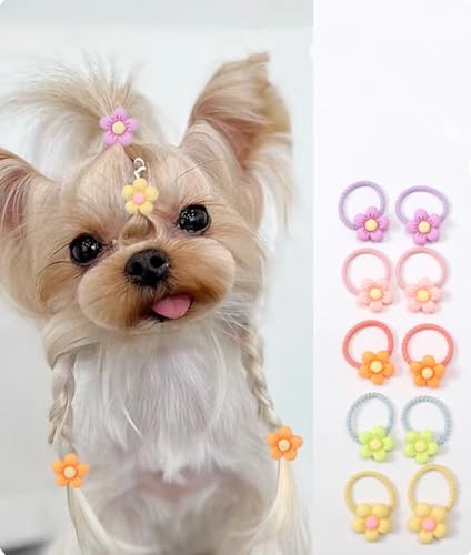 cuhair Haarschmuck für kleine Hunde, Sonnenblume mit 2 cm langem Gummiband für Mädchen, Welpen, Teddy, Malteser, Yorkshire, Langhaar, zottelig, 10 Stück (5 Paar) von cuhair