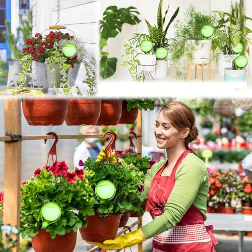 cuhair große Größe 10 Stück Bewässerungskugeln für Pflanzen, Automatische Bewässerungssystem für Pflanzen, Geeignet zum Pflanzen Bewässerung für Drinnen und Draußen von cuhair