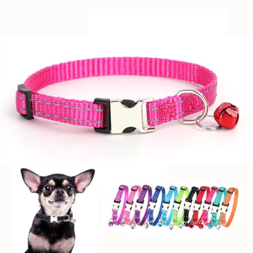 Hundehalsbänder für kleine Welpen, reflektierendes Nylon, Metallschnalle, Katzenhalsbänder mit Glöckchen für kleine Haustiere, Hündinnen, Mädchen, Kätzchen, Kleintiere, Hot Pink, XS von cyhaen