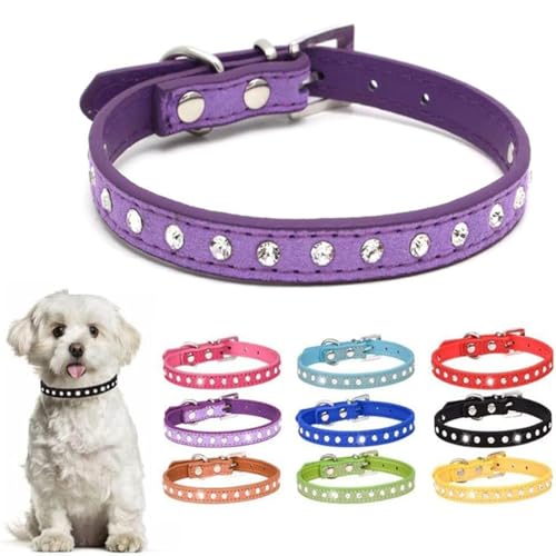 Hundehalsband für Mädchen, Welpen, Strass-Diamanten, Kristall, schillernd, funkelnd, glitzernd, für kleine, mittelgroße und große Rassen, Haustier, Mädchen, Kätzchen, Lila, XXS von cyhaen