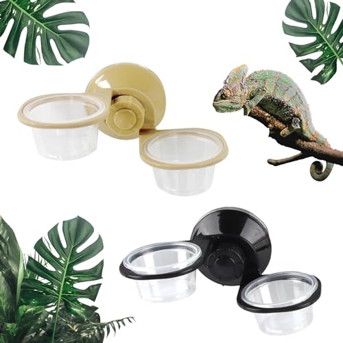 dellyy Reptile Feeder, 2PCS 2 in 1 Reptilien Wasserschale + Feeder mit Saugnapf, Double Feeding Cup Kleiner Gecko Futtertassen Für Reptilien, Insekten, Gecko Futter von dellyy