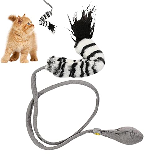 Cat Wand Teaser Spielzeug, Interaktive Catcher Teaser Wand für Kätzchen, Interaktives Katzenfisch- und Pferdeschwanzspielzeug für Bewegung und Entwicklung, Haustier Spielzeug für Delr von delr