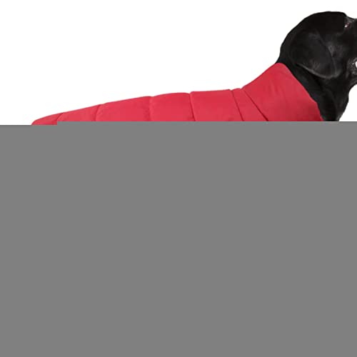 Hundejacken für kaltes Wetter, Fleece gefütterte Welpenjacke, Stilvolle gesteppte Winterjacke für Hunde, Herbst- und Winterkleidung für Haustiere für Kleine bis Mittlere Große Hunde, M/L Delr von delr