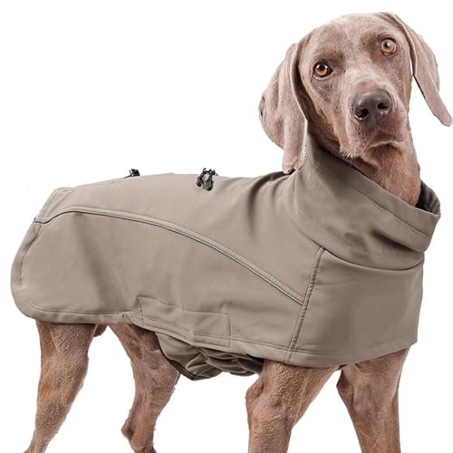 demaxiyad Mäntel für Hunde bei kaltem Wetter, Winterjacke für Hunde,Hundemäntel für kaltes Wetter - Bequemes, stilvolles, verstellbares Haustierzubehör für Outdoor-Winter-Hundekleidung von demaxiyad