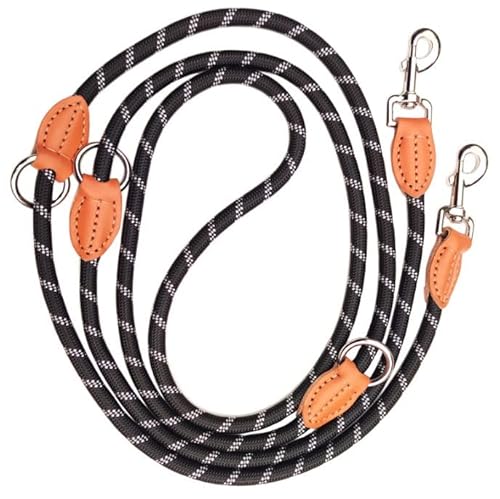 Hundeleine 2M Verstellbare Führleine Nylon Geflochten Hund Leine mit Karabiner, Multifunktions Trainingsleine Bissfest, Doppelleine für Kleine/Mittlere/Große Hunde (Schwarz) von dentedeleao