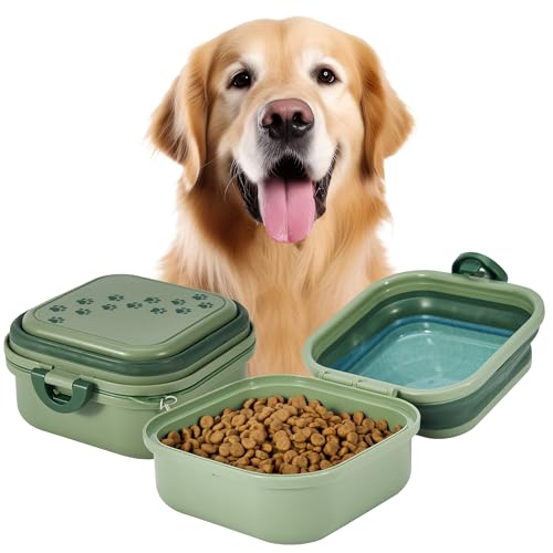 Desired Tools - Faltbarer Wassernapf für Hunde, 850 ml, 2-in-1, tragbarer Reise-Hundenapf mit Deckel, einfacher Tragegriff, faltbarer Futternapf für Hunde und Katzen, perfekt für Reisen, Spaziergänge, von desired tools