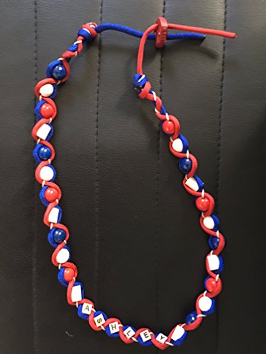 EM-Keramik Kette/Zeckenschut für Hunde gegen Zecken Größe entscheiden Sie blau/rot mit Namen Designed by KnaulY von dessigned by KnaulY