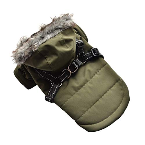 Winter-Hundekleidung, Haustier-Welpenkostüm, Französische Bulldogge, Outfit, Mantel, wasserdichte Jacke, Kleidung für kleine Hunde (Grün, Größe M) von dfdijfuidvfvildiskdc