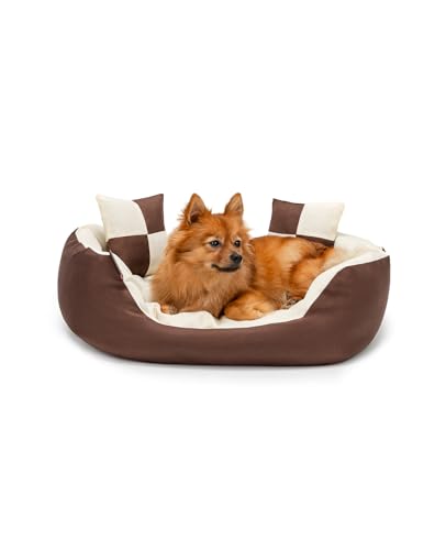 lionto Hundebett 4-in-1 mit Wendekissen aus robustem Oxford, 65x50 cm, Heimtierkissen Kratzfest mit tiefem Einstieg für Katzen und Hunde Aller Größen, inkl. Zierkissen, wasserabweisend, braun/beige von lionto