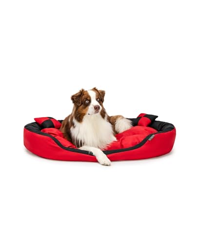 lionto Hundebett 4-in-1 mit Wendekissen aus robustem Oxford, 110x80 cm, Heimtierkissen Kratzfest mit tiefem Einstieg für Katzen und Hunde Aller Größen, inkl. Zierkissen, wasserabweisend, rot/schwarz von lionto