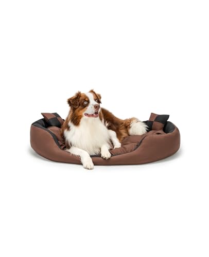 lionto Hundebett 4-in-1 mit Wendekissen aus robustem Oxford, 110x80 cm, Heimtierkissen kratzfest mit tiefem Einstieg für Katzen und Hunde aller Größen, inkl. Zierkissen, wasserabweisend, schwarz/braun von lionto