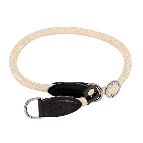 lionto Hundehalsband aus strapazierfähigem Nylon für Hundetraining, Länge 30 cm, 0,8 cm Dicke, Zugstopp Halsband für Hunde, Lederimitat mit Metallring & Anpassung durch stufenlosen Schieber, beige von lionto